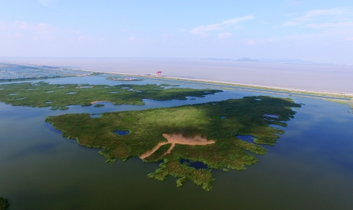 江海濕地4.jpg