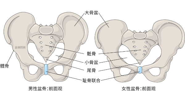 640 (1).png